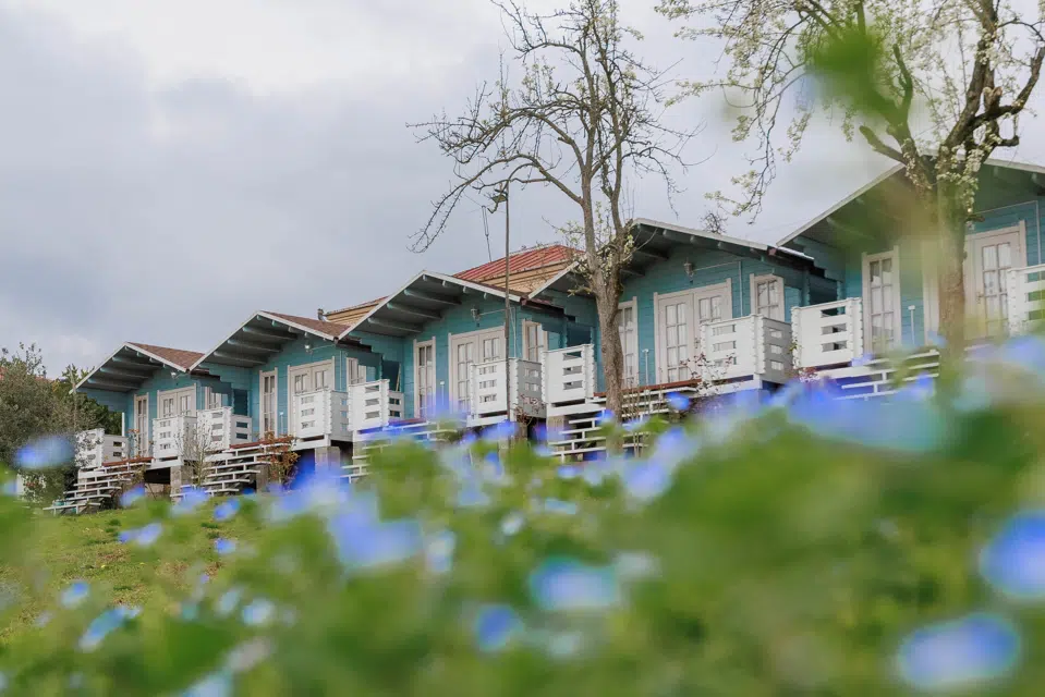 About hotel image